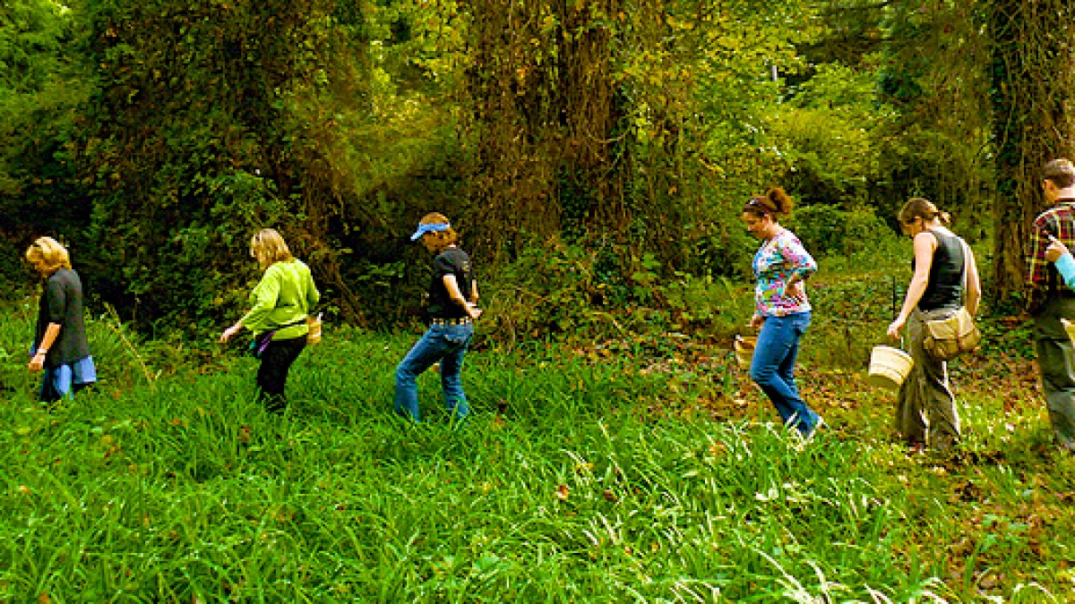 Biltmore Heading Out