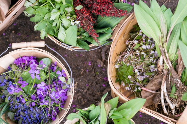 Alan Muskat, center, leads a group of customers on a mushroom and wild food walk in Pisgah National Forest near Brevard, North Carolina