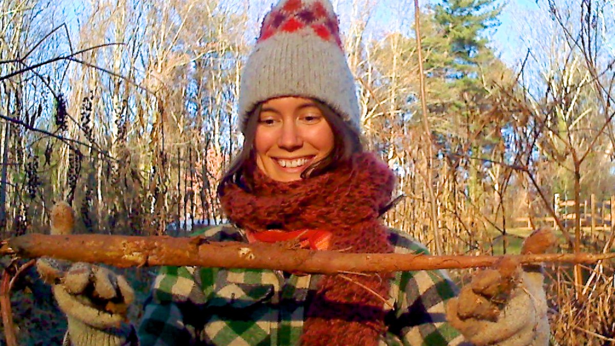 Alan Muskat, center, leads a group of customers on a mushroom and wild food walk in Pisgah National Forest near Brevard, North Carolina