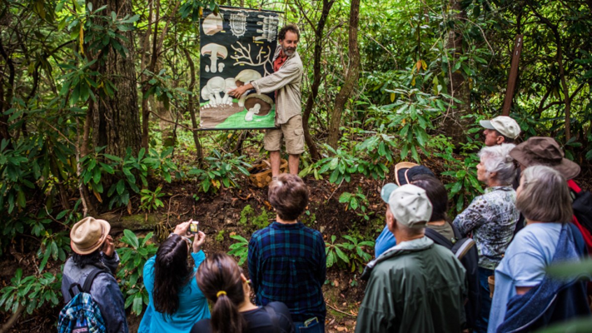 Alan Muskat, center, leads a group of customers on a mushroom and wild food walk in Pisgah National Forest near Brevard, North Carolina