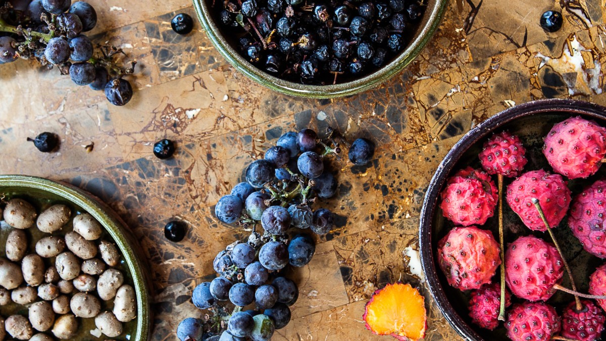 fairy potato kousa dogwood fox grape