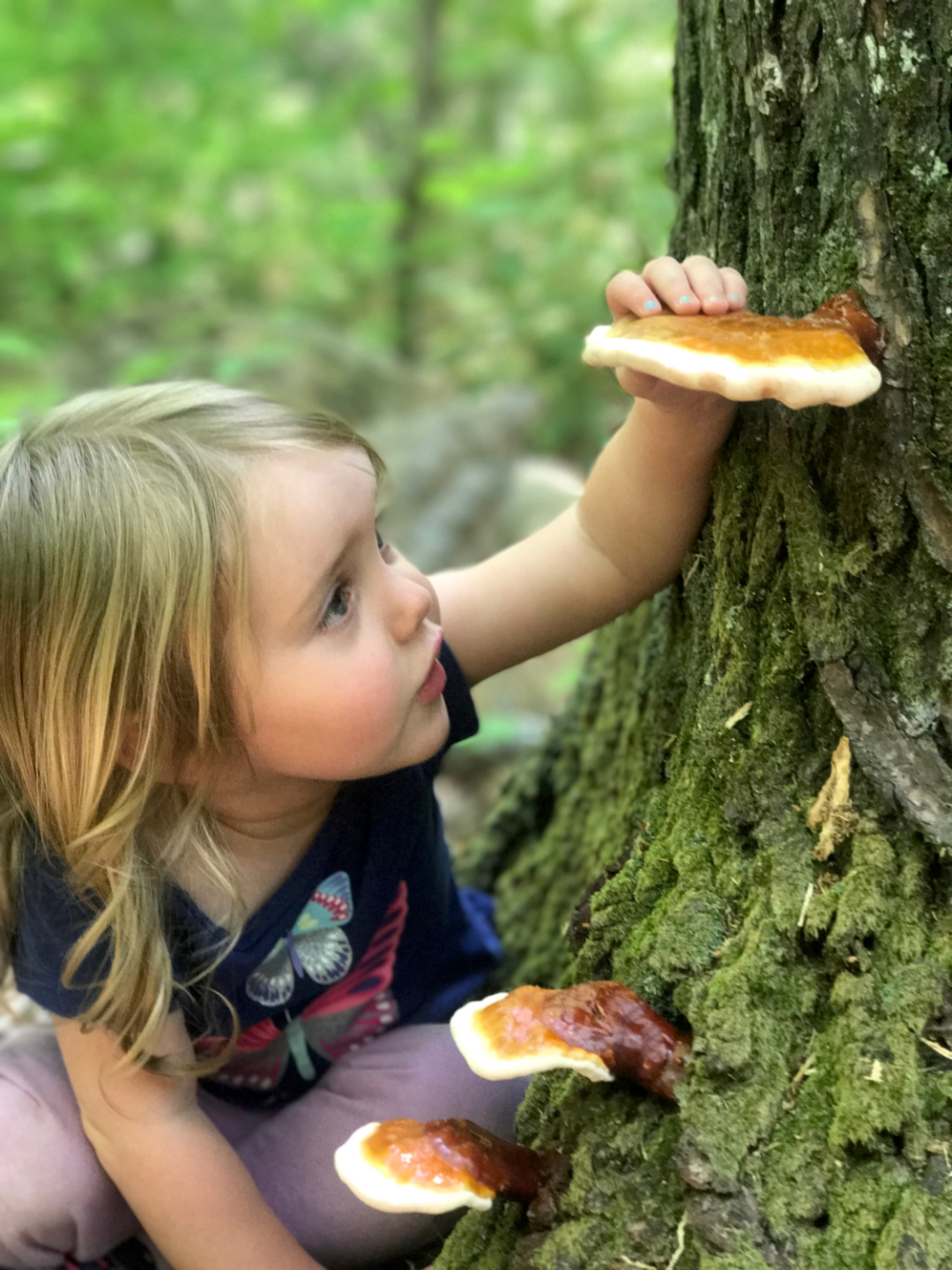 Grasping Mushroom Young girl grasping mushroom