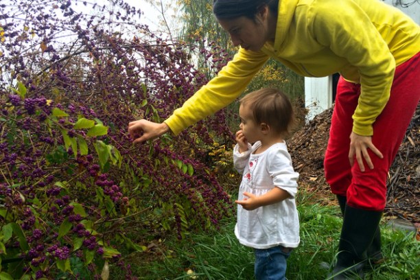 a little boy that is standing in the grass