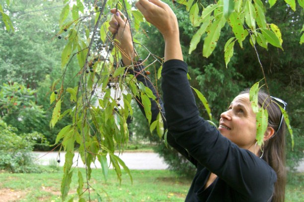 a person standing next to a tree