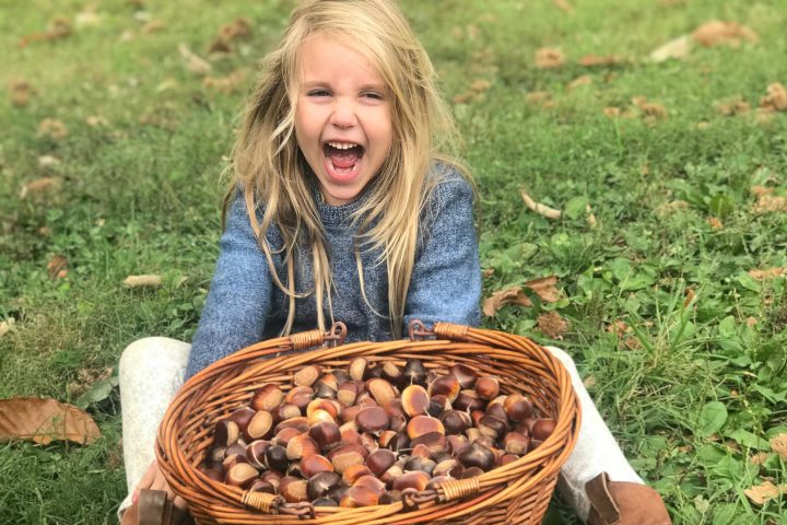 a little girl sitting in the grass with a basket full of chestnuts